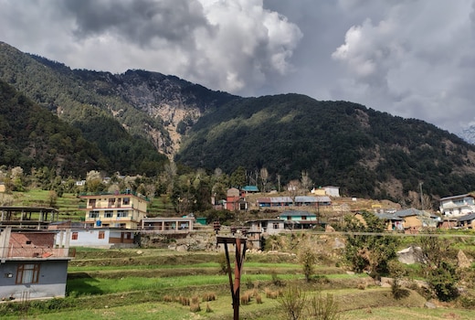 Dhauladhar view Homestay