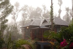 Coffeepolo Resorts, Wayanad, Wayanad
