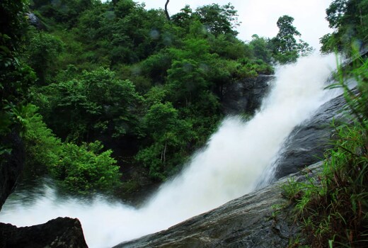 Puzhamoola Farm Villa