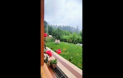 Semi Deluxe | Garden View