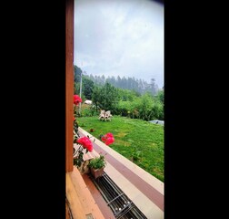 Semi Deluxe | Garden View