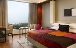 Single Deluxe Room