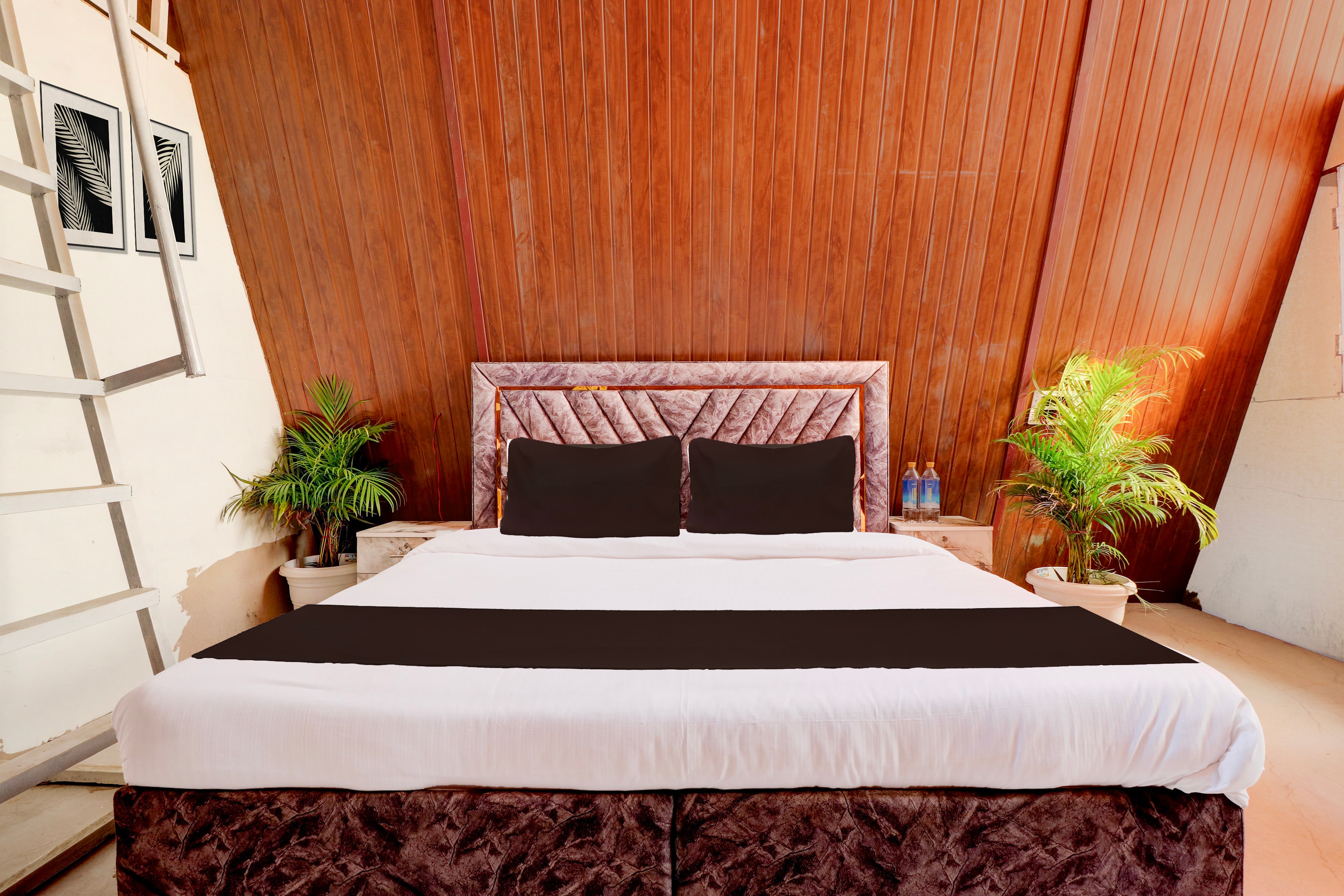 Hotel O Himvasa Resort - Tap to explore photos