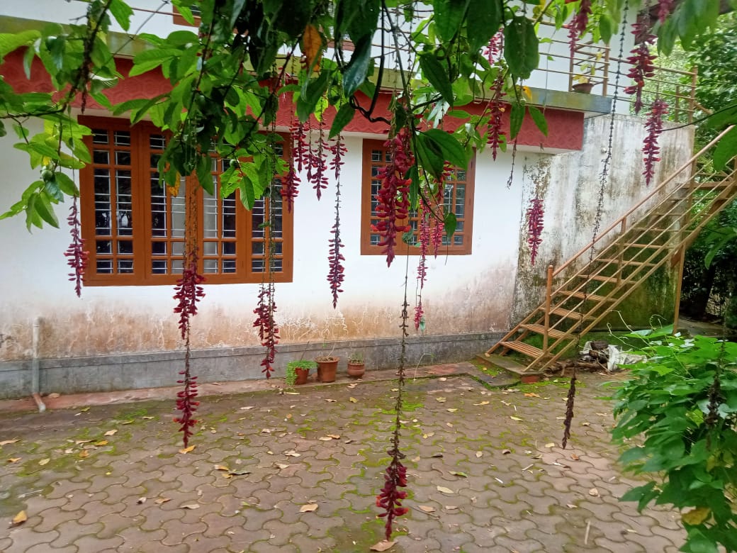 Manjunamane Homestay - Tap to explore photos