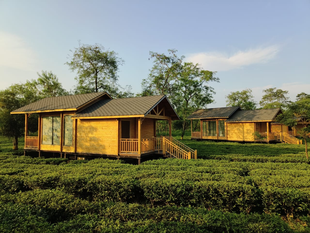 The Postcard in the Durrung Tea Estate, Assam - Tap to explore photos