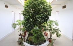 Common Area