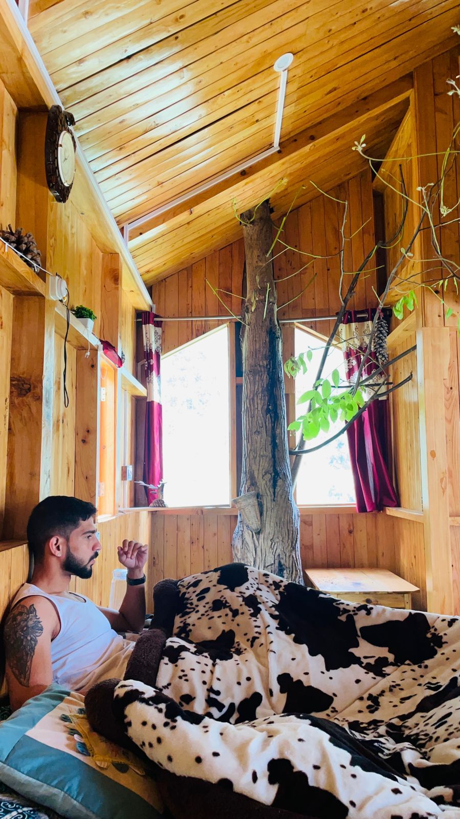 Vinnis Cottages n Treehouses - Tap to explore photos