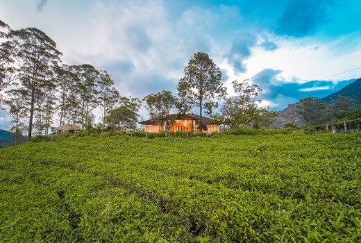 Viriparai British Tea Bungalow Munnar by VOYE HOMES