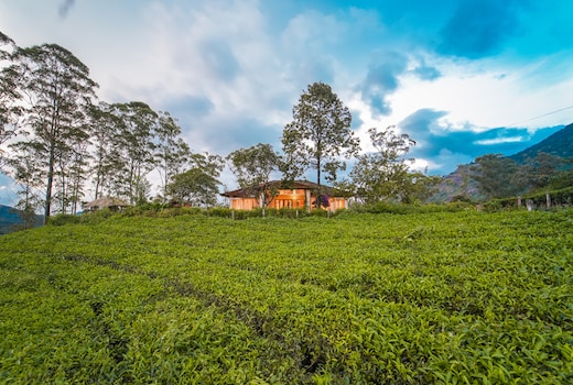Viriparai British Tea Bungalow Munnar by VOYE HOMES