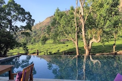 The Windermere Estate, Munnar