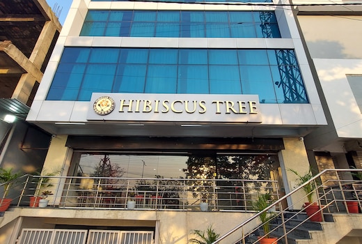 Hotel Hibiscus Tree- Bachupally