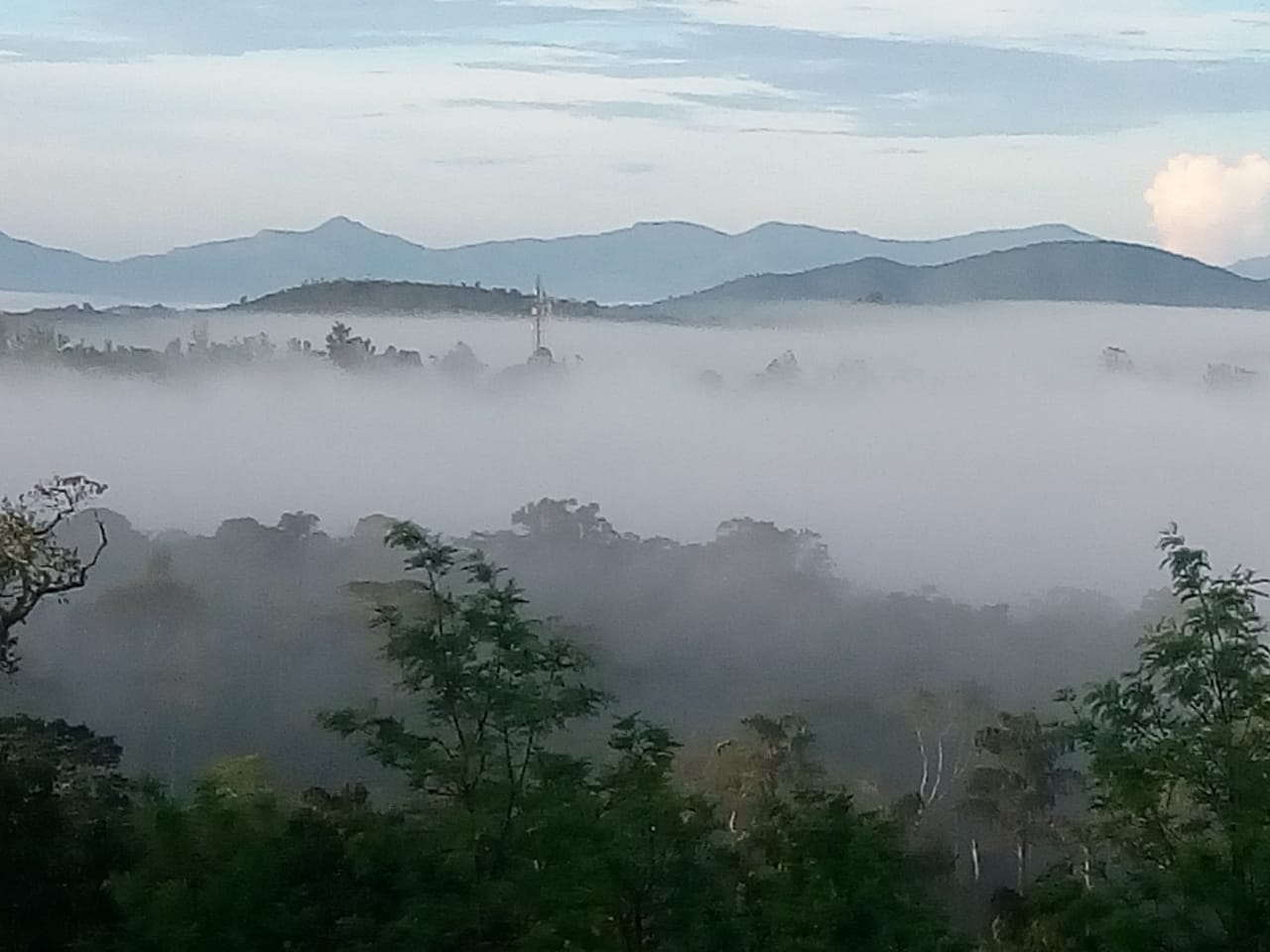 Coorg Misty View Homestay - Tap to explore photos