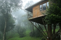 Nature Zone Munnar - A Real Jungle Resort - Authentic Tree House and Premium Tents, Munnar