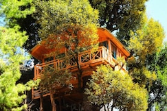 Whispering Pines Cottages| Treehut, Jibhi