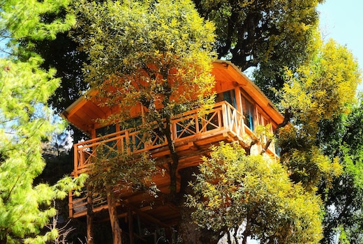 Whispering Pines Cottages| Treehut