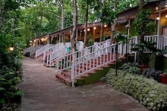 Ratapani Jungle Lodge, Ichhawar