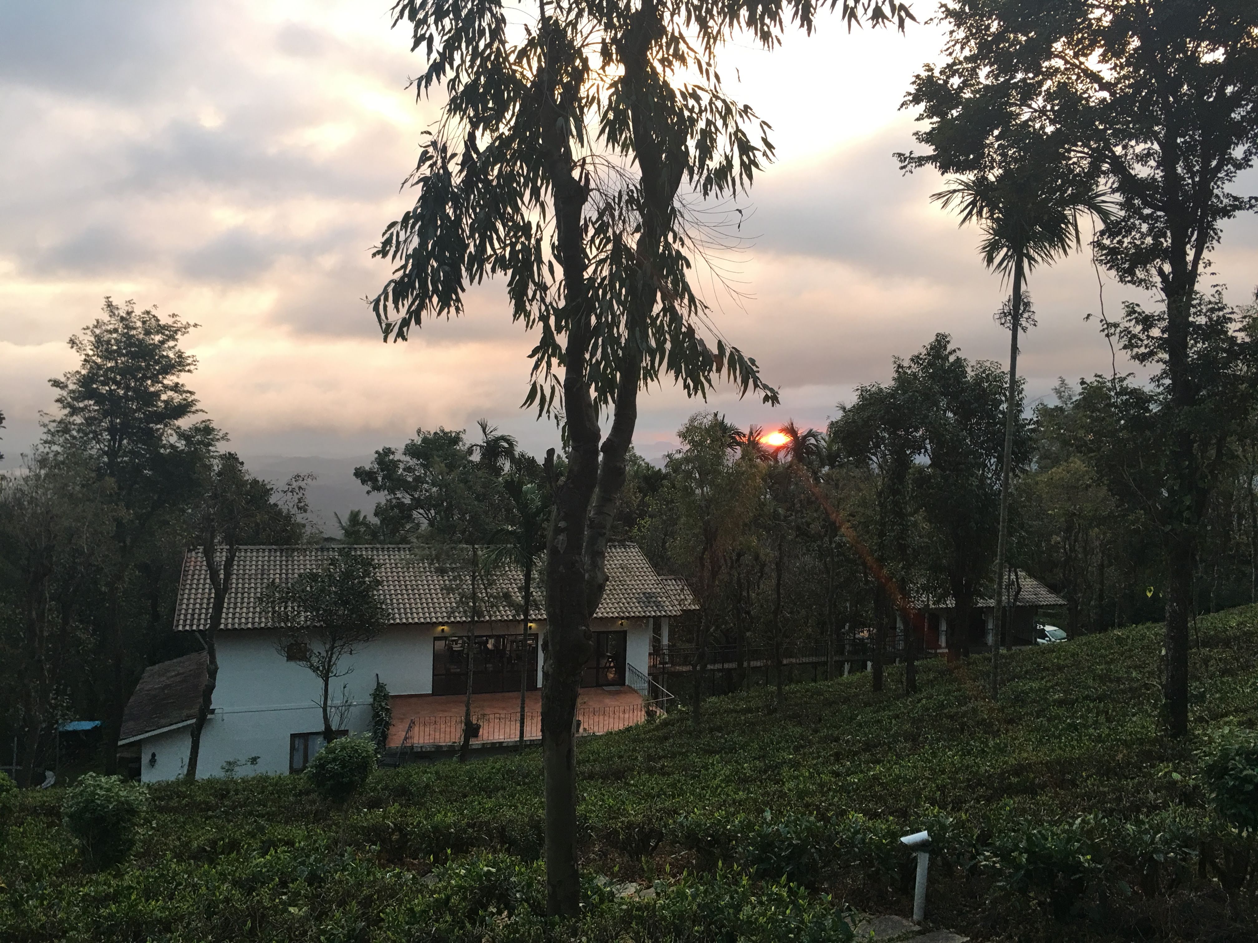 Tea Terrace Vythiri Wayanad INR 856 OFF ( ̶5̶5̶0̶0̶ ) Resort Price