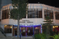 Hotel Pine Grove, Solan