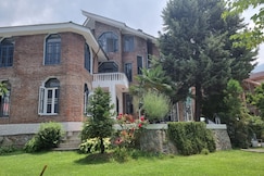 Morning Mist, Srinagar