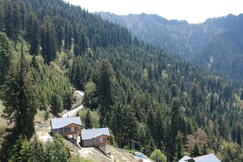 Father's cottage shoja, Jibhi