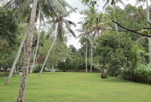 Peaceful Cottage at Kottayam  Vazhemadom