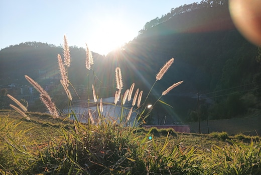 The lali buransh Home stay