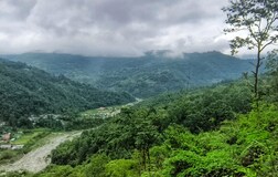 Deluxe Cottage Room 1