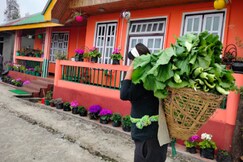 StayApart | Rooms at Sarika Homestay, Namchi