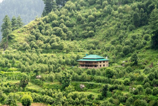 A Cottage In The Green Hills | Jibhi By Bastiat Stays