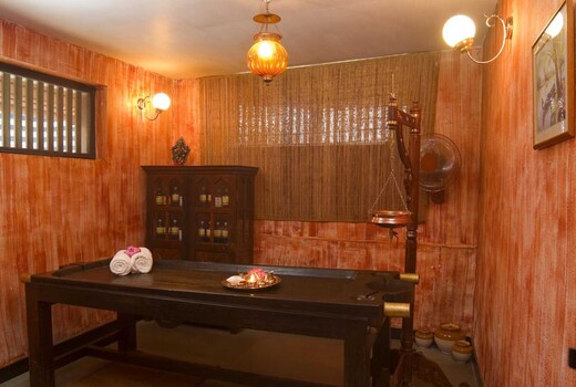 Ayurvedic Therapies