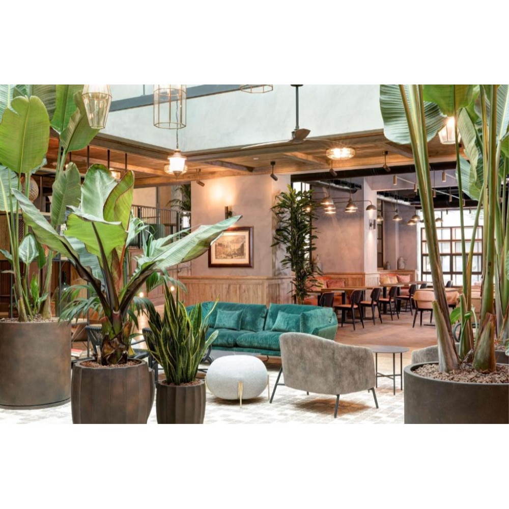 DoubleTree By Hilton Rome Monti - Tap to explore photos