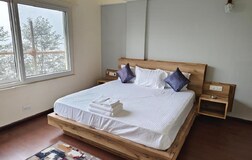 Forest View Room