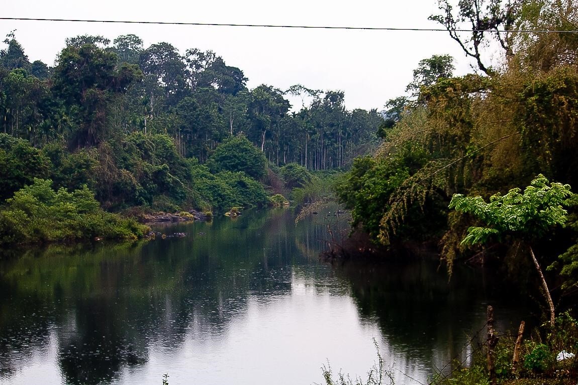 Nirvana Homestay - Tap to explore photos