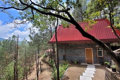 PINE WOOD NIRVANA, Shimla