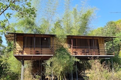 Deep Jungle Home