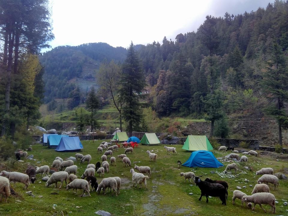 Thandi Golai Nature camping - Tap to explore photos