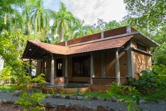 Mango orchards, Auroville