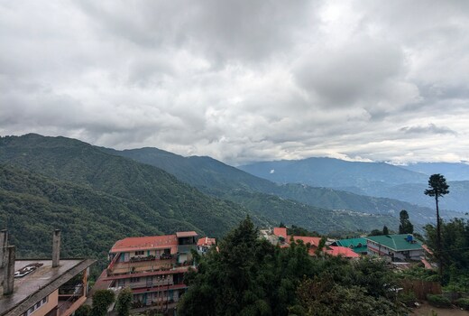 Yellow Moon Homestay