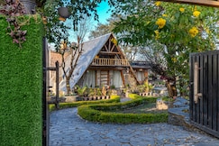 The Cabin Dharmshala, Dharamshala