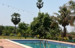 Swimming Pool 1
