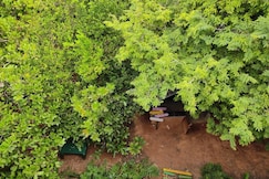 Travellers Crib, Auroville