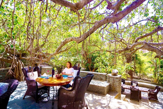 The Mountbatten Lodge Ranakpur Inr 7535 Off 3 9 0 0 0 Resort Price Address Reviews