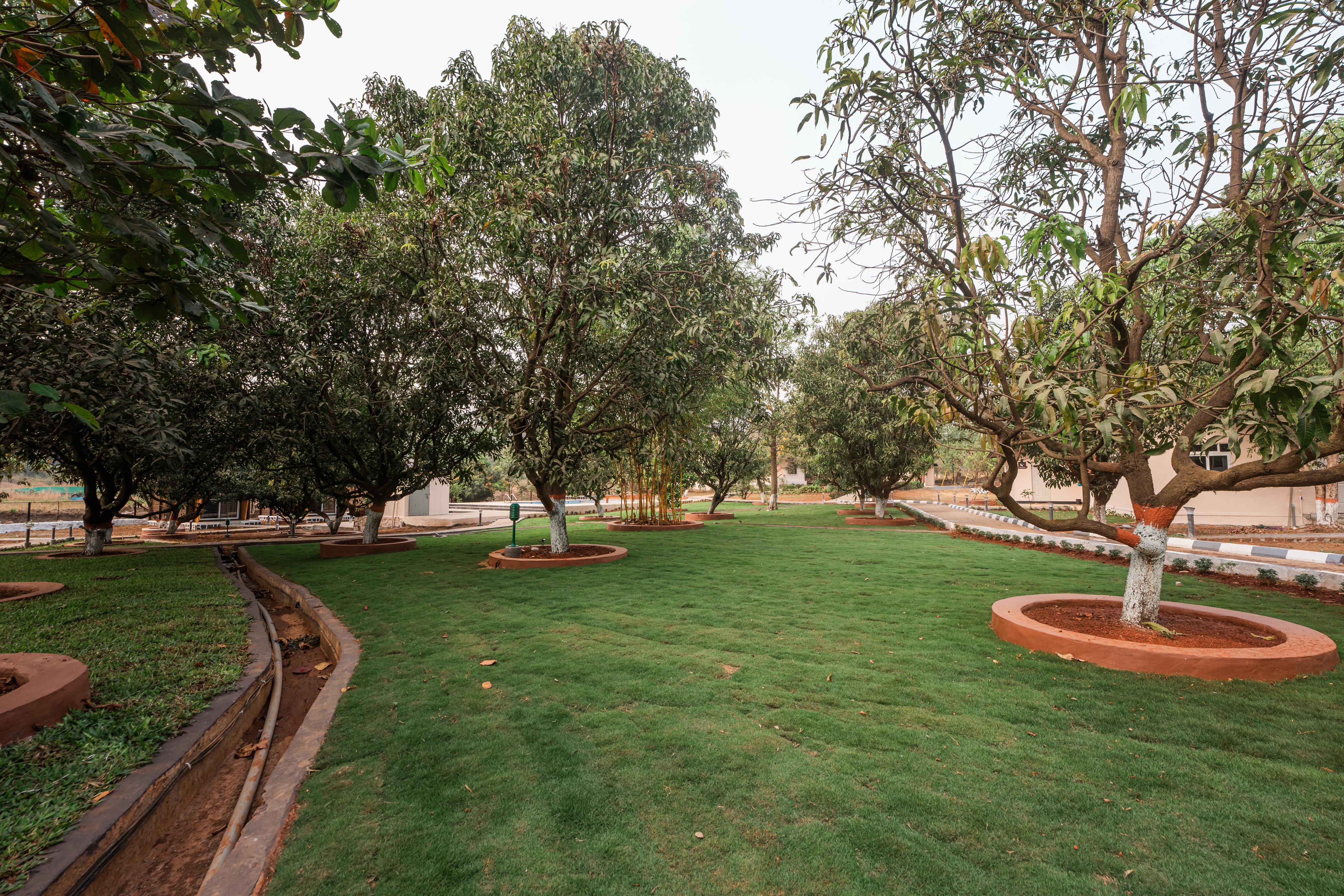 Air Eco Stay Resort - Tap to explore photos