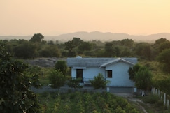 Courtyard Balecha, Falna