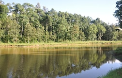 Outdoors