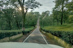 Mountain Breeze Homestay Ghuggar, Palampur