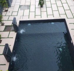 Swimming Pool 1
