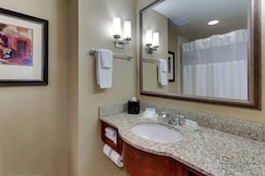 Hilton Garden Inn Indianapolis Airport, Hendricks