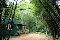 Verdant Hillock Cottage, Wayanad