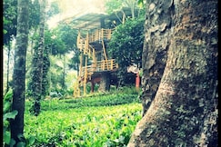 Jungle Jive Tree House | Rooms in a Homestay, Munnar